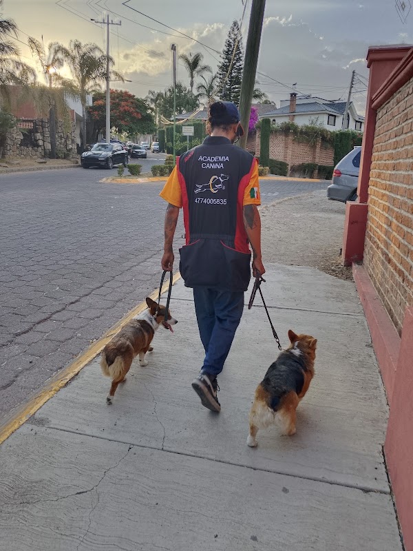 Escuela Canina & perros León Guanajuato