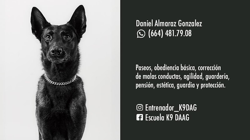 Escuela De Perros Daag K9