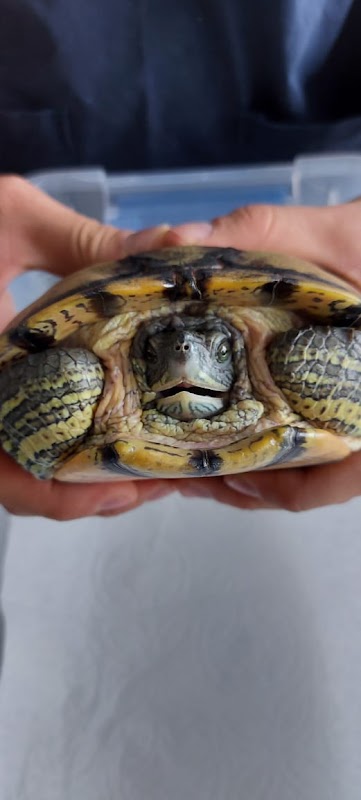 Exotic Pet Medical Center