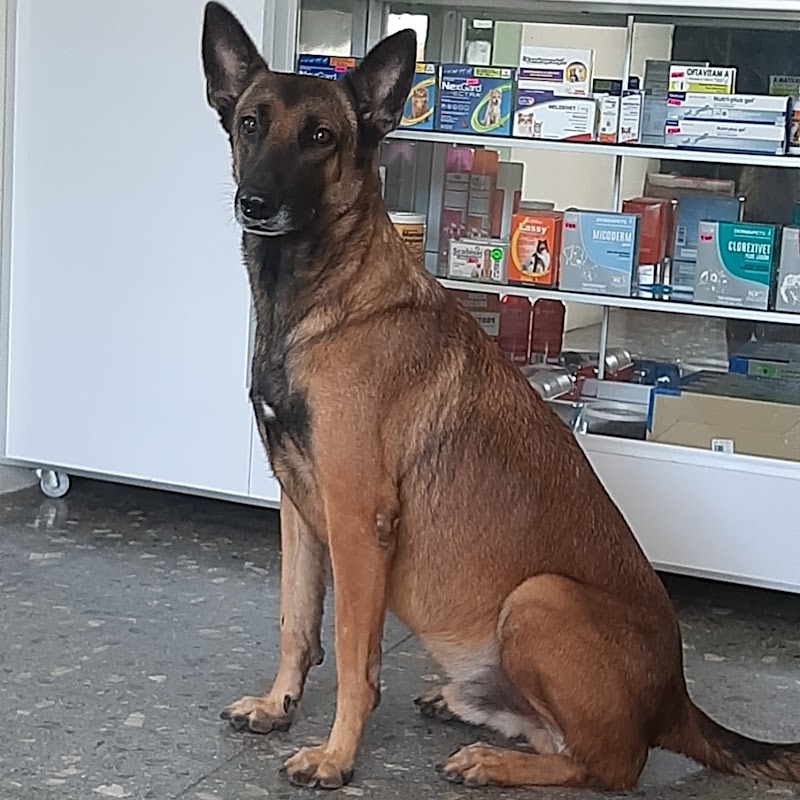 F.A.S.V PetHospital "Dr.Vet"
