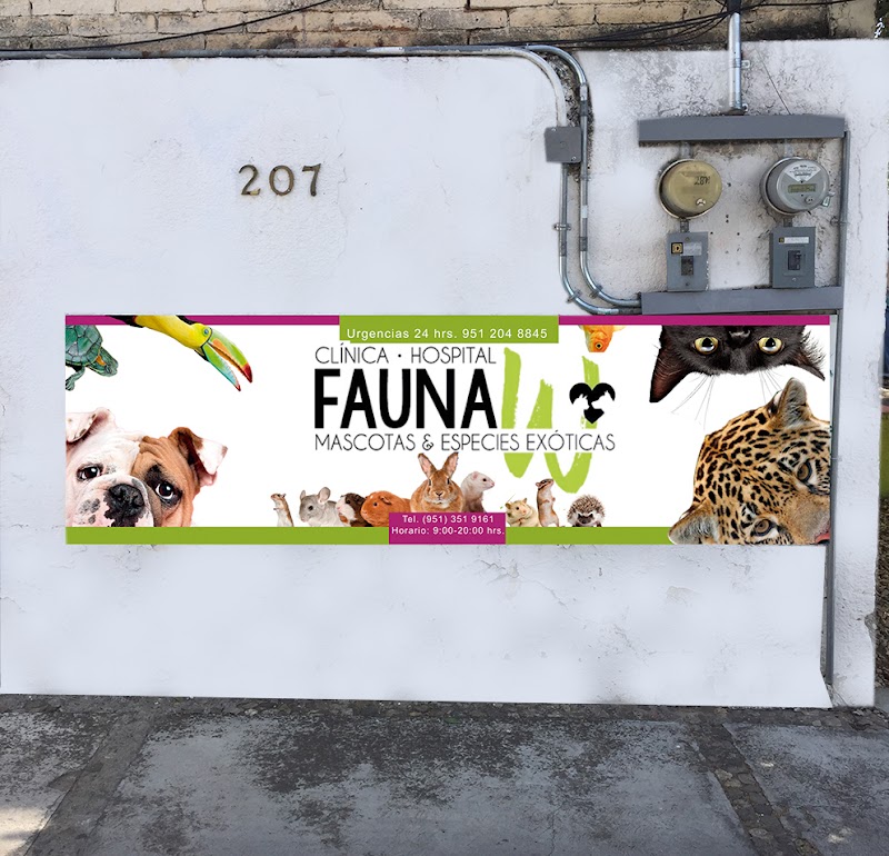 Fauna W