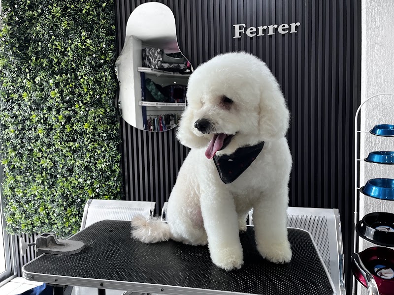 Ferrer Hospital Veterinario