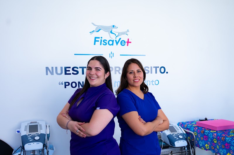 Fisavet