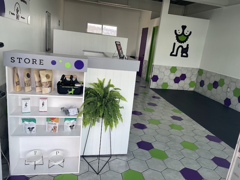 FisioPets Candiles — Rehabilitación y fisioterapia veterinaria en Querétaro