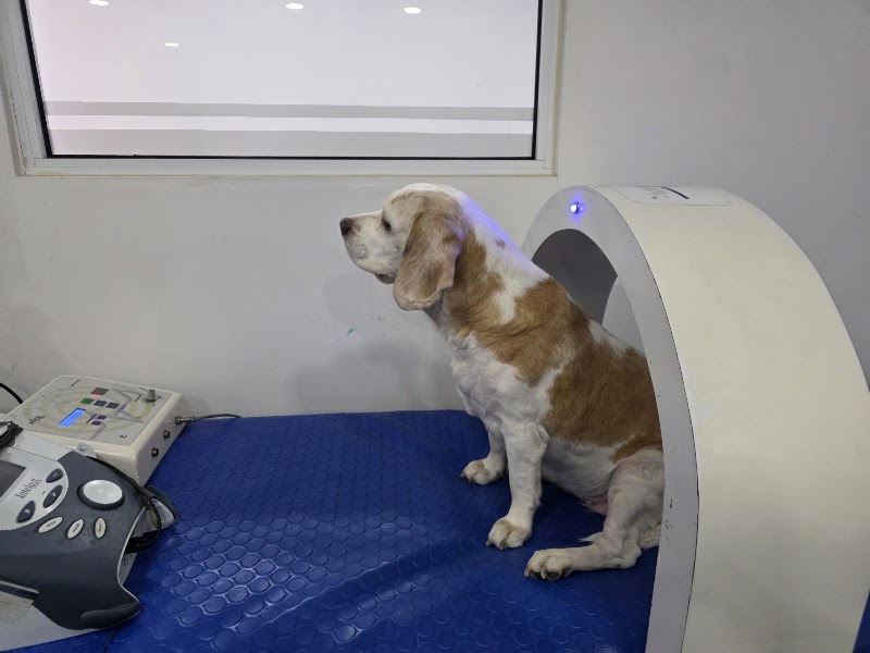 Fisiopets
