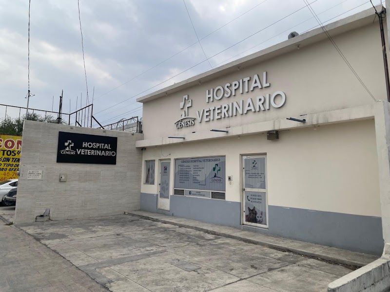 Genesis Hospital Veterinario