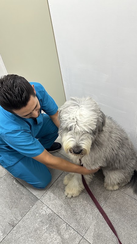 GOD'S PETS CENTRO VETERINARIO