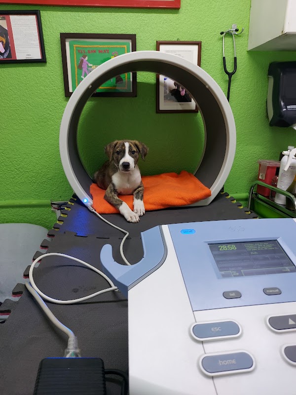 GRUPO VETERINARIO SANMAT