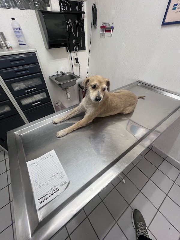 Hospital Animal Dres. Sepúlveda
