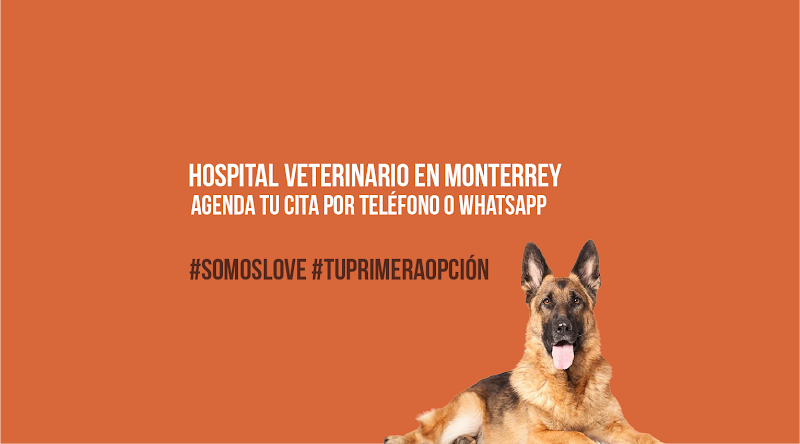 Hospital Animal LOVE