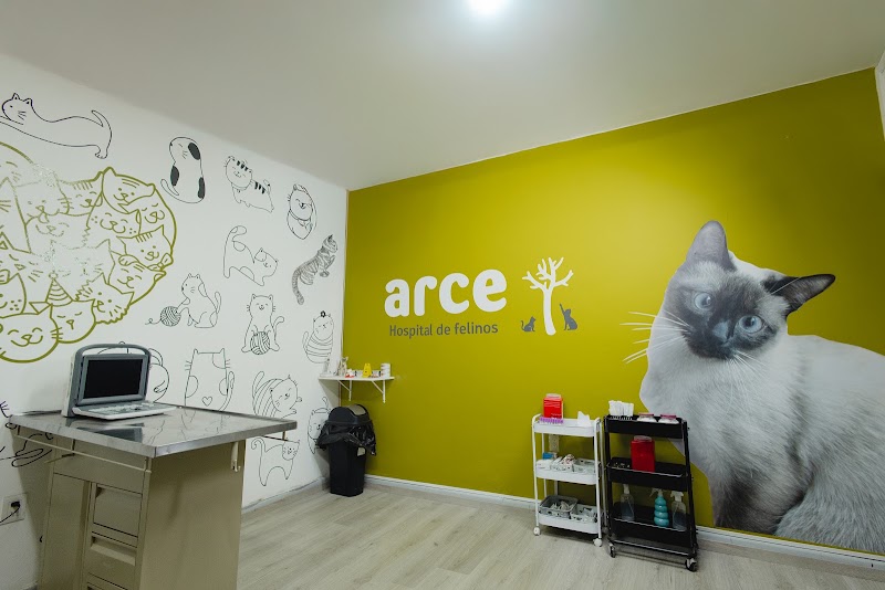 Hospital de Felinos Arce