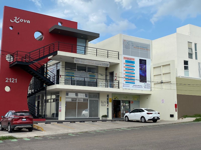 Hospital de Neurología Veterinaria SANU