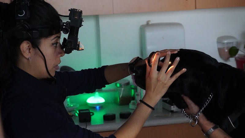 Hospital de Oftalmología Veterinaria EyeCare Polanco