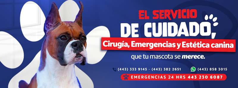 Hospital Estética veterinaria Pupet