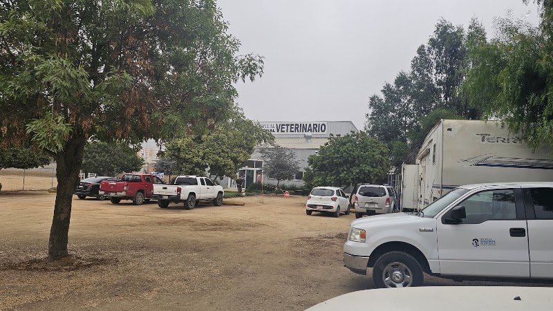 Hospital Regional Veterinario de BC