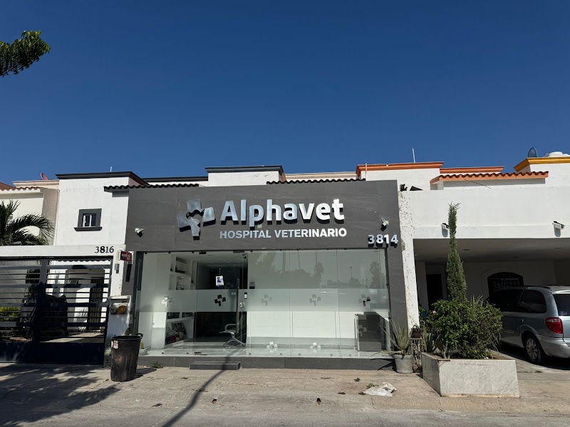 Hospital Veterinario Alphavet — Urgencias y cuidados intensivos veterinarios en Mazatlán