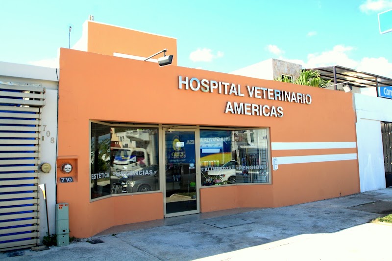 HOSPITAL VETERINARIO AMÉRICAS