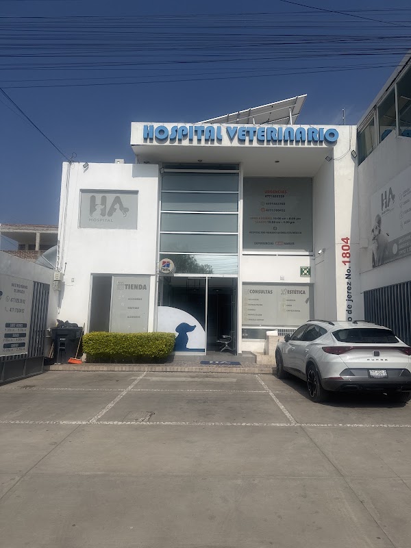 Hospital Veterinario AMI