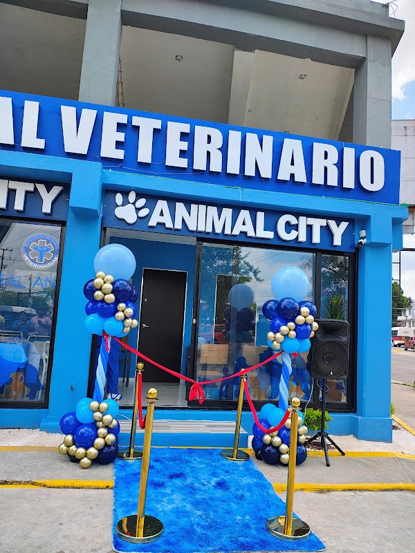 Hospital Veterinario Animal City