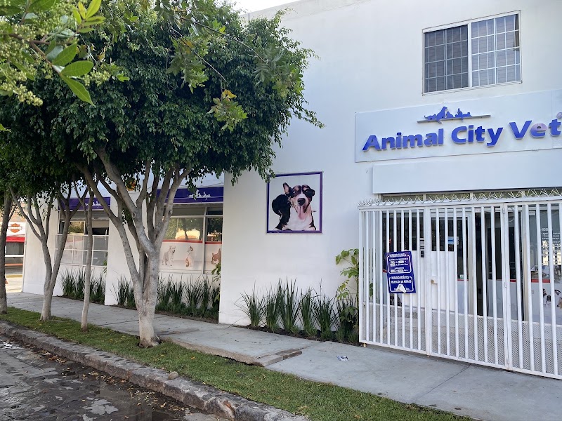 Hospital Veterinario Animal CityVet