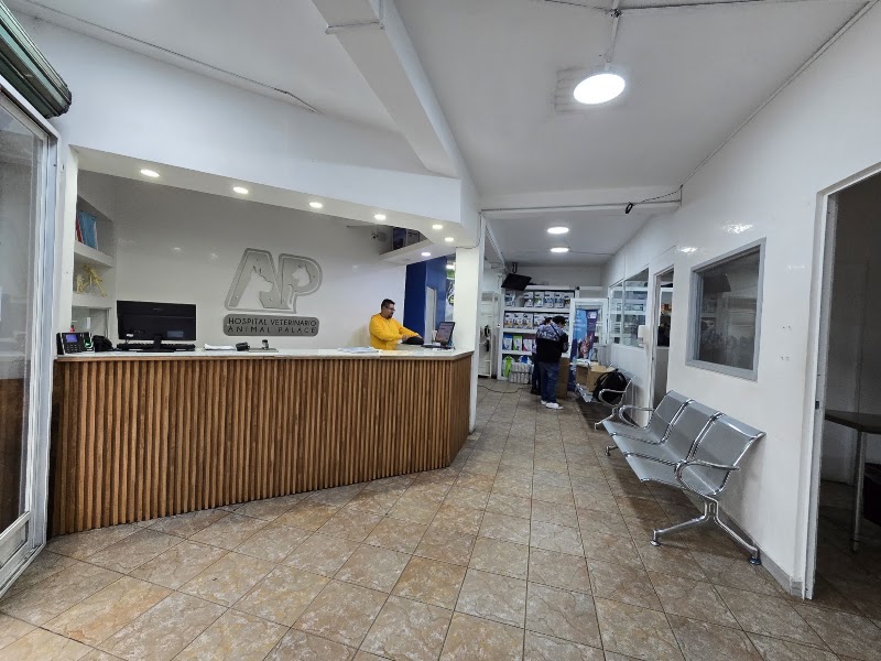 Hospital Veterinario Animal Palace Urgencias Veterinarias 24 Horas