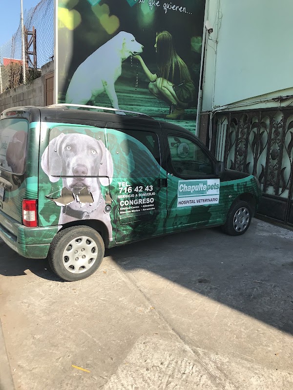 Hospital Veterinario Chapultepets Congreso