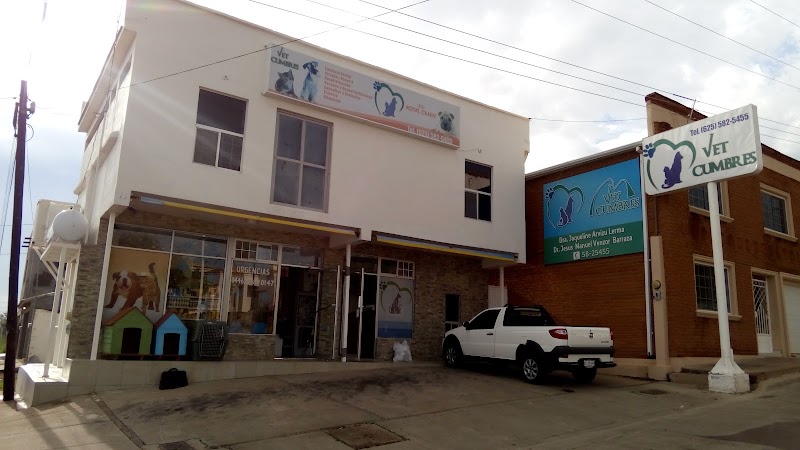 HOSPITAL VETERINARIO CUMBRES