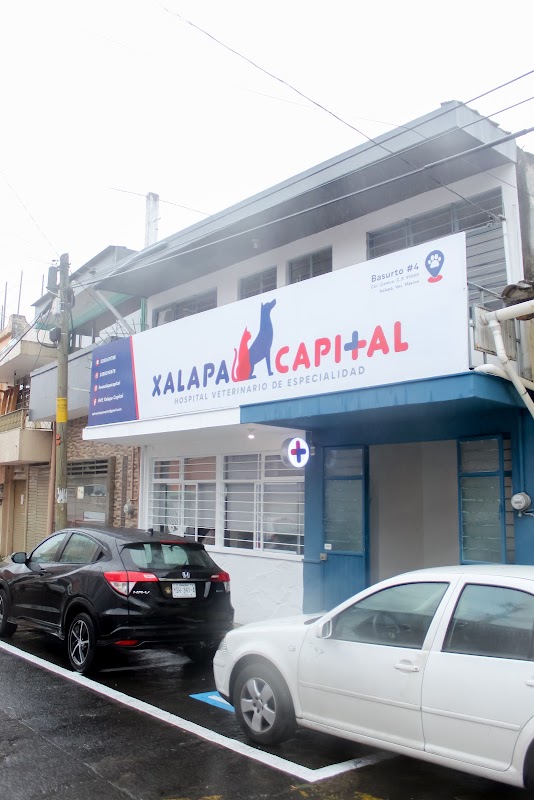 Hospital Veterinario de Especialidad Xalapa Capital