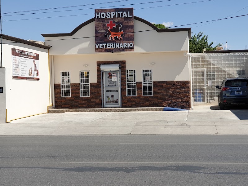 HOSPITAL VETERINARIO De Especialidades Medico Quirurgicas