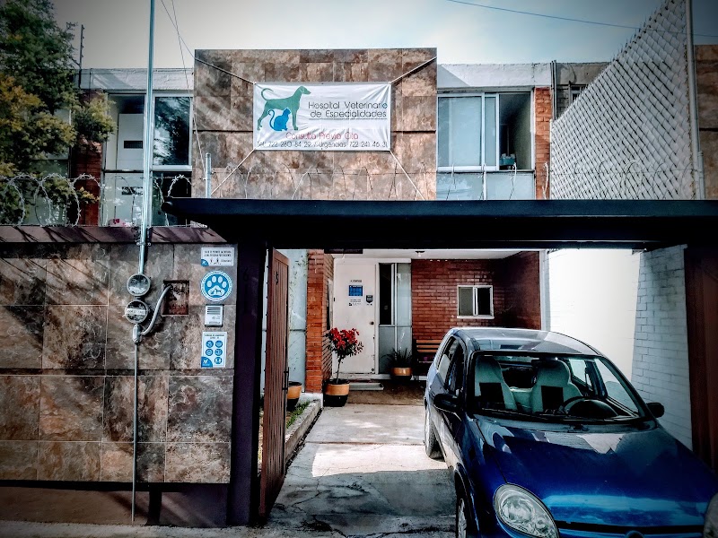 Hospital Veterinario de Especialidades