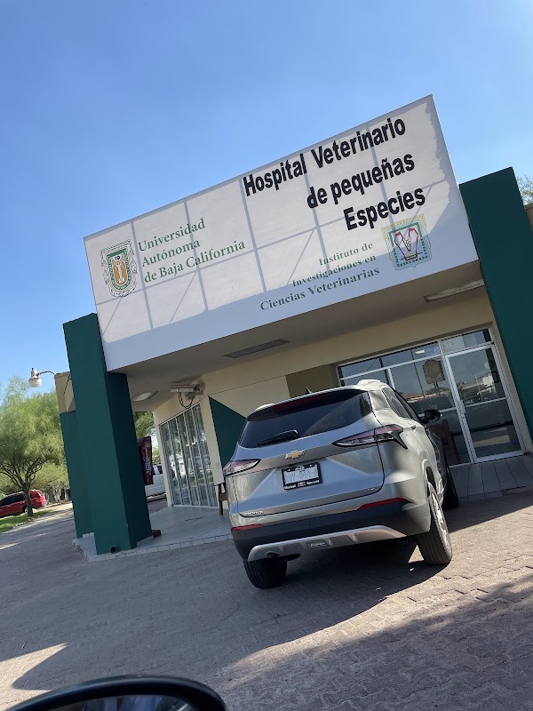 Hospital Veterinario de Pequeñas Especies