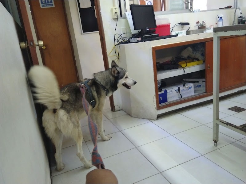 Hospital Veterinario de Pequeñas Especies
