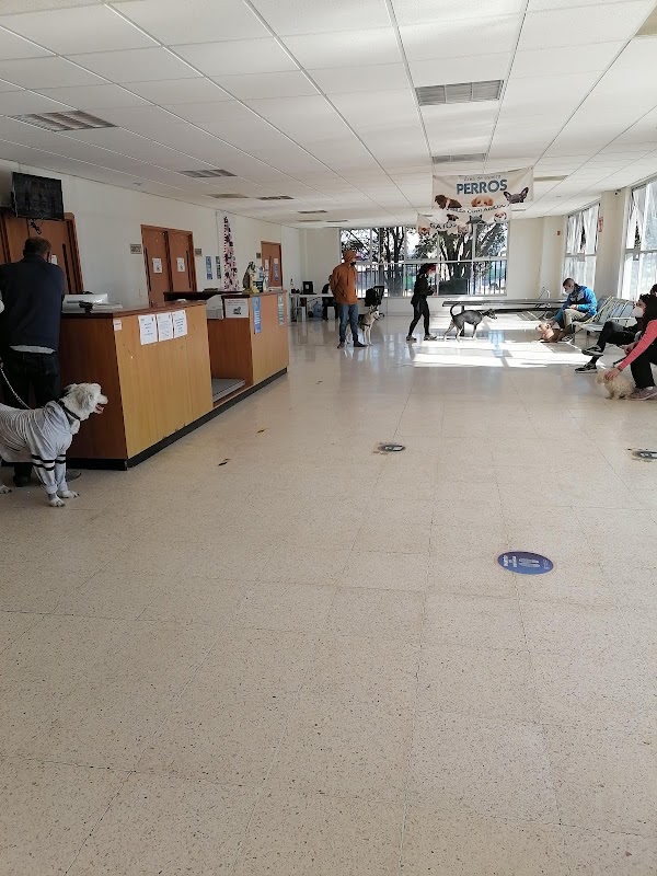 Hospital Veterinario de Pequeñas Especies