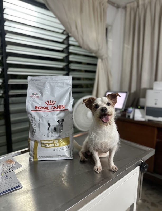 HOSPITAL VETERINARIO DEL VALLE