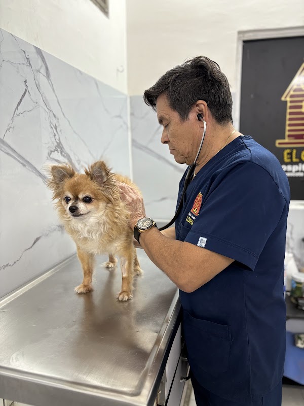 Hospital Veterinario El Caporal Bojórquez