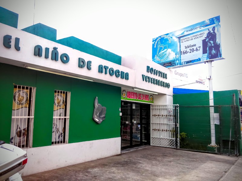 HOSPITAL VETERINARIO+ EL NIÑO DE ATOCHA