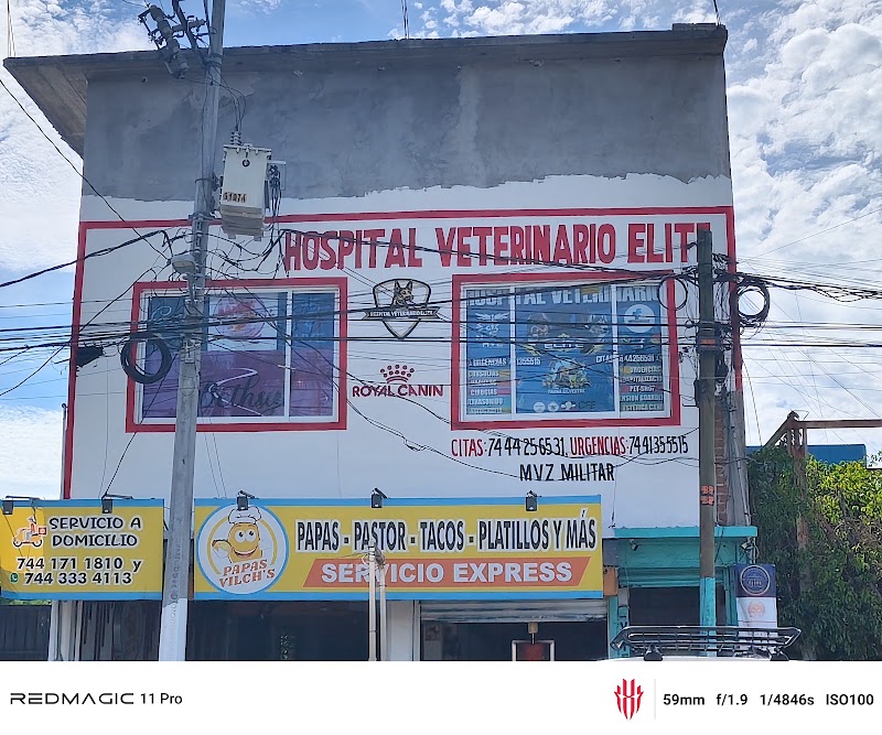 Hospital veterinario Élite