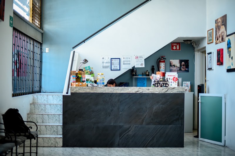 Hospital Veterinario Guadalajara