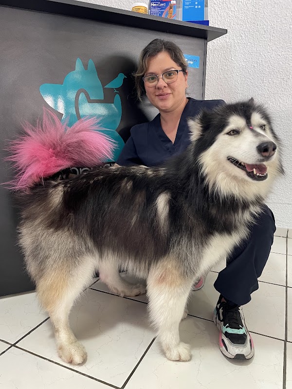 HOSPITAL VETERINARIO HAPPY ANIMALS VETERINARY