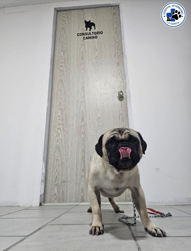 Hospital Veterinario La Garrita