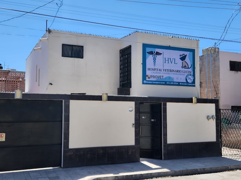 Hospital Veterinario Lucem