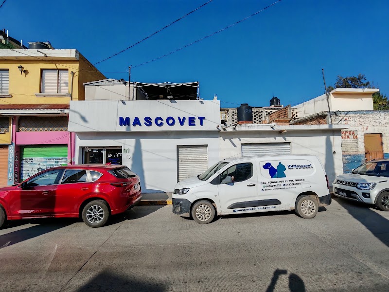 Hospital Veterinario Mascovet