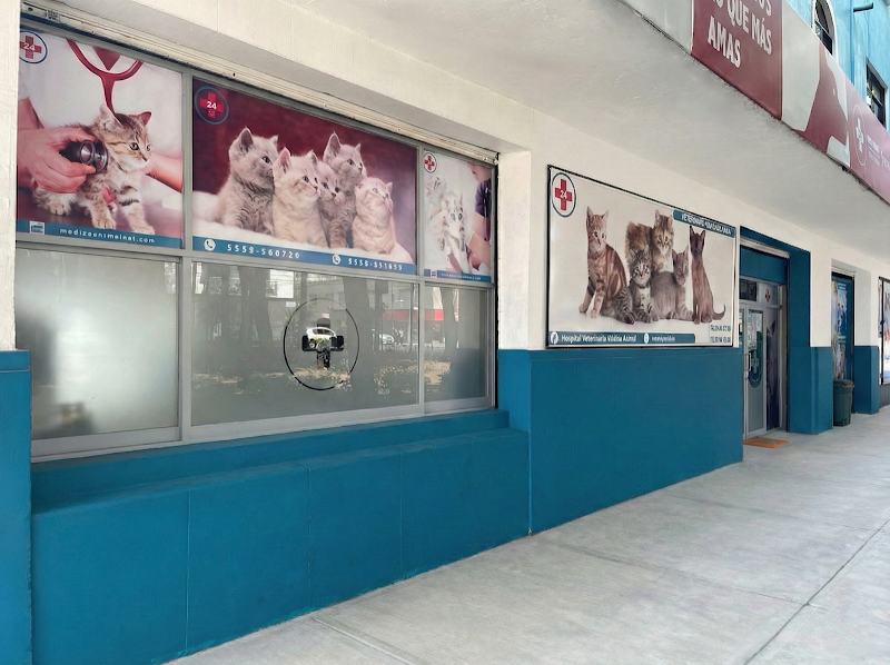 Hospital Veterinario Médica Animal 24 Horas