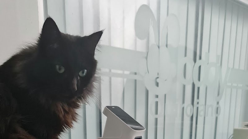 Hospital Veterinario Oddy