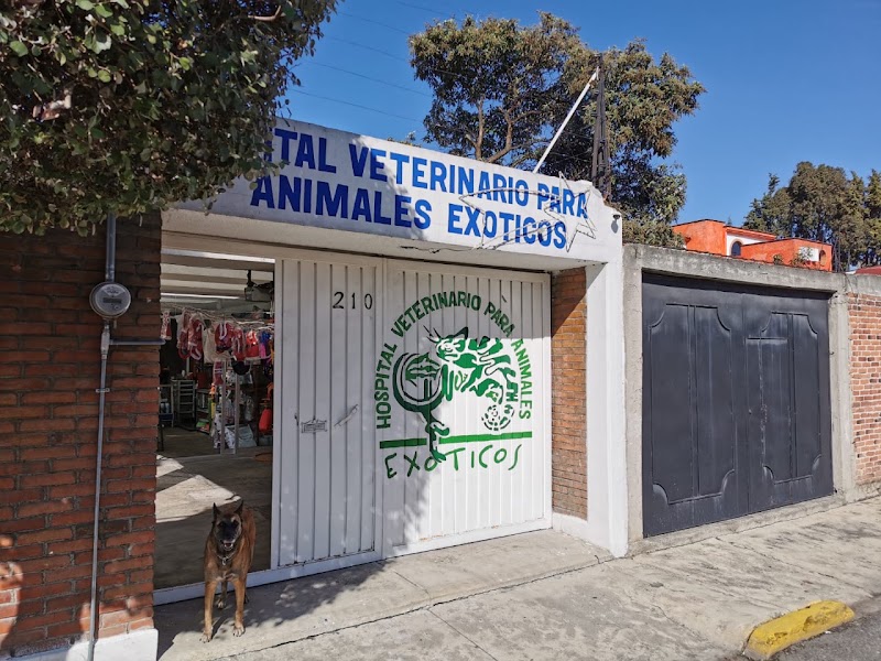 Hospital Veterinario para Animales Exóticos