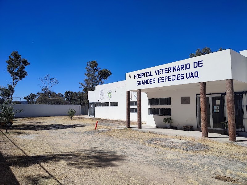 Hospital Veterinario para Équidos FCN-UAQ