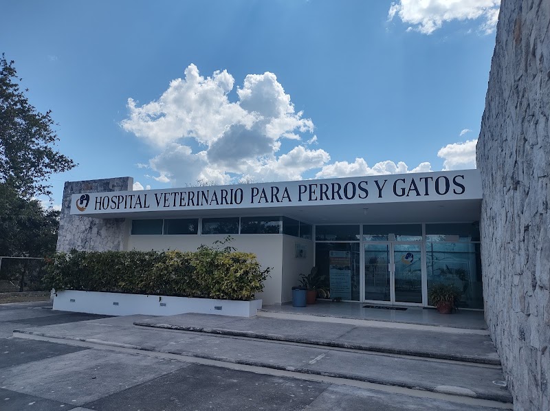 Hospital Veterinario para Perros y Gatos UADY