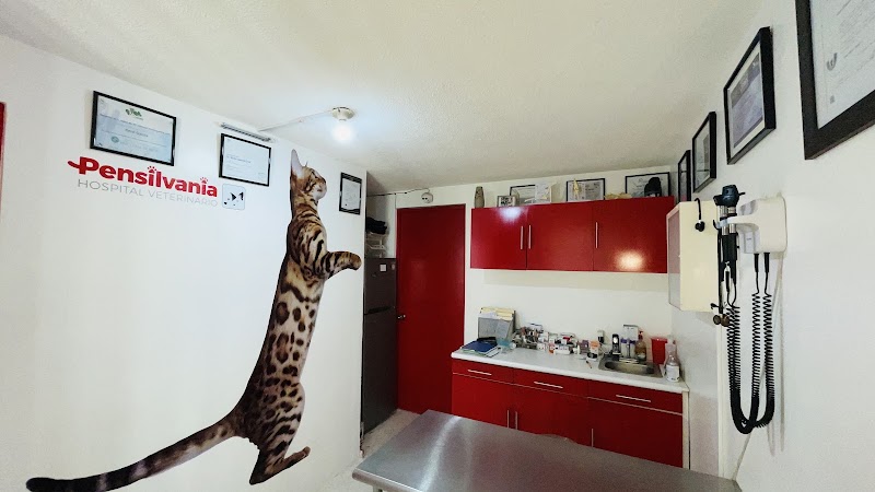 Hospital Veterinario Pensilvania