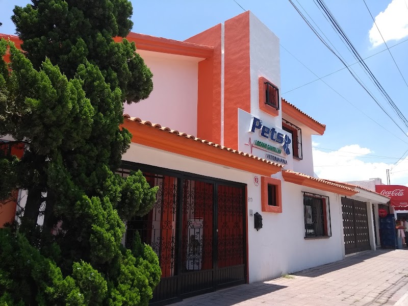 Hospital Veterinario Pets