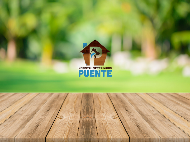 Hospital Veterinario Puente